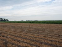 159-551, Z, 2018-05-15, NL-Hans Farjon, 52.950519 NB-5.454160 OL, Zuidwest-Friesland  159-551, Z, 2018-05-15, NL-Hans Farjon, 52.950519 NB-5.454160 OL, Súdwest-Fryslân
