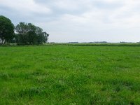 160-551, O, 2018-05-25, NL-Hans Farjon, 52.950509 NB-5.469038 OL, Zuidwest-Friesland  160-551, O, 2018-05-25, NL-Hans Farjon, 52.950509 NB-5.469038 OL, Súdwest-Fryslân