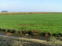 170-549, O, 2011-09-28, NL-Jaap Langenbach, 52.934816 NB - 5.606403 OL, Sudwest-Fryslan