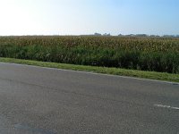 170-549, W, 2011-09-28, NL-Jaap Langenbach, 52.934816 NB - 5.606403 OL, Sudwest-Fryslan