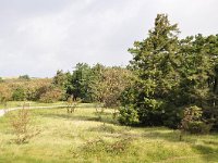 170-606, Ameland