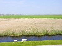 174-604, Ameland