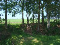 179-550, Skarsterlan