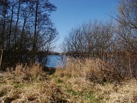 179-552, W, 28-03-2011, NL-Frans Ozinga, 52.961300 NB-5.751663 OL, Skarsterla¦én