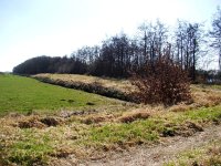 179-552, Z, 28-03-2011, NL-Frans Ozinga, 52.961300 NB-5.751663 OL, Skarsterlan