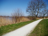 179-553, Skarsterlan