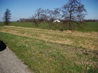 179-554, Skarsterlan