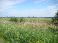 180-554, O, 19-5-2011, Frans Ozinga, 52.976357 NB-5.763672 OL, Skarsterlan