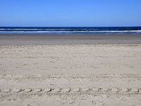 181-608, Ameland