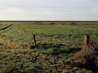182-606, N, 2015-11-08, NL-Tiny de Krom, 53.443620 NB-5.801678 OL, Ameland