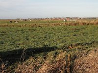 182-606, O, 2015-11-08, NL-Tiny de Krom, 53.443620 NB-5.801678 OL, Ameland