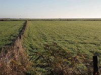 182-606, W, 2015-11-08, NL-Tiny de Krom, 53.443620 NB-5.801678 OL, Ameland