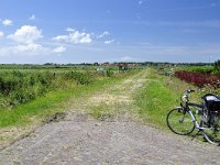 182-606, W, 25-06-2014, NL-Harry Muermans, 53.443702 NB-5.801480 OL, Ameland : tot Buren