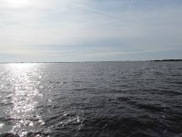 183-546, Z, 08-10-2012, NL-Fokke Stastra, 183512-546438, Skarsterlan