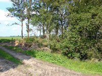 183-551, W, 12-06-2011, NL-Frans Ozinga, 52.948167 NB-5.809898 OL, Skarsterlan