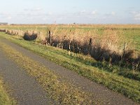 184-606, Ameland