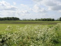185-548, Z, 13-5-2011, NL-G.de Heij, 52.922604 NB-5.837377 OL, Skarsterlan