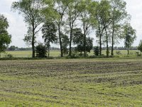 185-549, O, 13-5-2011, NL-G.de Heij, 52.930025 NB-5.834510 OL, Skarsterlan