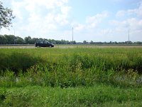 185-552, Z, 12-06-2011, NL-Frans Ozinga, 52.959128 NB-5.840816 OL, Skarsterlan
