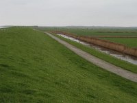 185-606, O, 2015-11-08, NL-Tiny de Krom, 53.445076 NB-5.846239 OL, Ameland