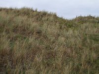 185-608, Ameland