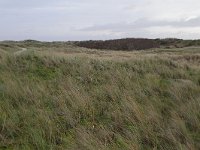 185-608, O, 2015-11-10, NL-Tiny de Krom, 53.462425 NB-5.846395 OL, Ameland