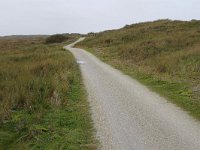 185-608, W, 2015-11-10, NL-Tiny de Krom, 53.462425 NB-5.846395 OL, Ameland