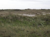 185-608, Z, 2015-11-10, NL-Tiny de Krom, 53.462425 NB-5.846395 OL, Ameland