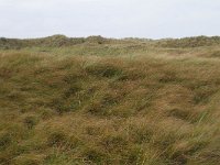 186-608, Ameland