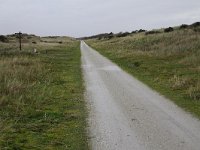 186-608, O, 2015-11-10, NL-Tiny de Krom, 53.461243 NB-5.861453 OL, Ameland