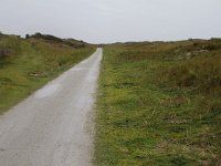 186-608, W, 2015-11-10, NL-Tiny de Krom, 53.461243 NB-5.861453 OL, Ameland