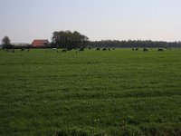 190-556, Luinjeberd