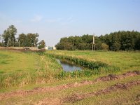 193-584, 2-O, 2014-09-17, NL-Hans Knijff, 53.246260 NB-05.969855 OL, Dantumadeel  584-193 O