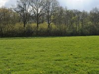 196-552, O, 2012-04-27, NL-G.de Heij, 52.957927 NB-6.004774 OL, Heerenveen