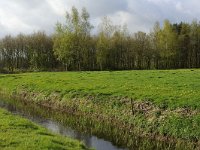 196-552, Z, 2012-04-27, NL-G.de Heij, 52.957927 NB-6.004774 OL, Heerenveen