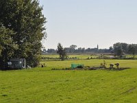 198-592, Extra9 Z, 2011-09-30, NL-Hans Knijff, 53.314336 NB-6.044935 OL, Dantumadeel