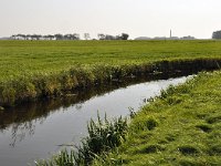 198-594, 2-O, 2011-09-25, NL-Hans Knijff, 53.334876 NB- 6.039030 OL, Dongeradeel
