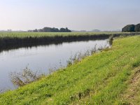 199-595, 3-Z, 2011-09-29, NL-Hans Knijff, 53.344451 NB-6.054720 OL, Dongeradeel