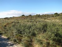205-609, Schiermonnikoog