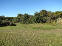 208-612, W, 2013-10-6, NL-PETER VLAMINGS, 208542-612493, SCHIERMONNIKOOG