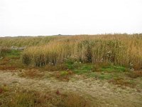 210-612, Schiermonnikoog