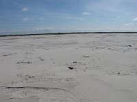 210-613, Z, 2014-5-30, NL-Peter Vlamings, 210500-613500, Schiermonnikoog