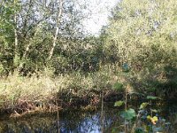 261-558, Stadskanaal