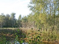 261-558,W,2011-10-14,NL,Martin B. Cuperus,53.002894NB-6.973695OL,Stadskanaal