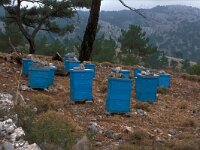 GR, Chios, Chios, Panagias 10, Saxifraga-Jan van der Straaten