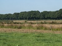 NL, Noord-Brabant, Goirle, Poppelsche Leij 5, Saxifraga-Willem van Kruijsbergen