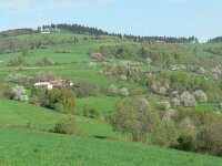 CZ, Uh Hradiste, Bile Karpaty, Vyskovec 1, Saxifraga-Jan  Willem Jongepier