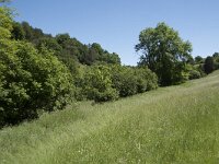 D, Rheinland-Pfalz, Prum, Schonecken 15, Saxifraga-Willem van Kruijsbergen