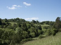 D, Rheinland-Pfalz, Prum, Schonecken 8, Saxifraga-Willem van Kruijsbergen