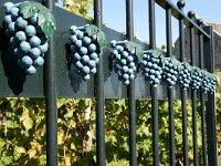 D, Rheinland-Pfalz, Wintrich 7, Saxifraga-Foto Fitis-Sytske Dijksen